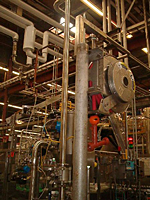 Process Piping @ a Personal Care Plant